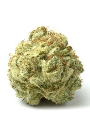 Mind's Eye 1g Pyramid