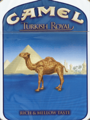 Camel Turkish Royal