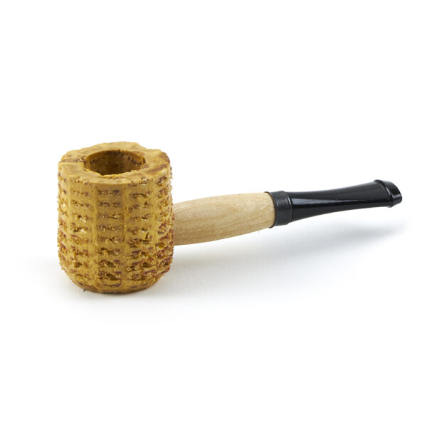 Corn Cob 3