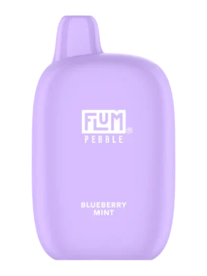 Flum Pebble Bluberry Mint