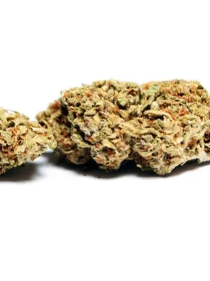 Premium Indoor THCA House Flower 2.8g