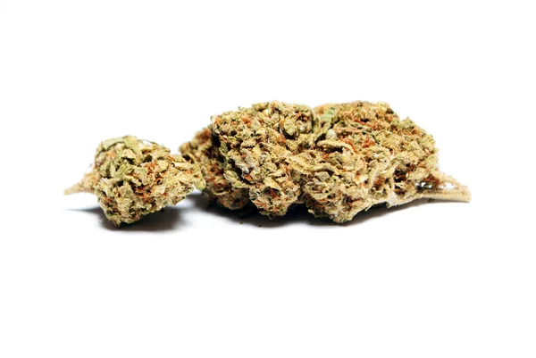 Premium Indoor THCA House Flower 2.8g